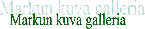 Markun kuva galleria
